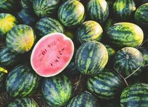 Watermelon - Iran