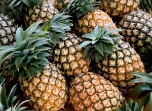 Pineapple  - Sri lanka