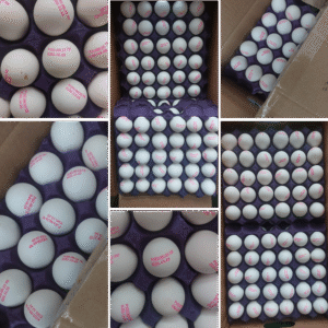 Eggs 360 pcs per box - Pakistan