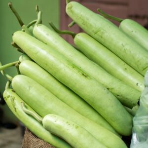 Fresh Bottle Gourd