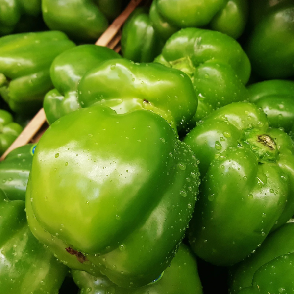 Fresh Green Capsicum