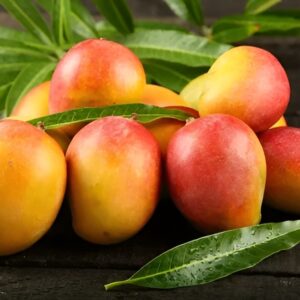 Premium Fresh Mangoes